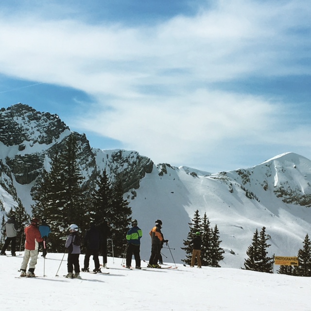 Signs of Spring and 13″ Fresh Snow