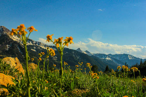 Cool off in Alta