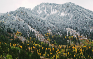 Alta in April — Don’t Miss Out!