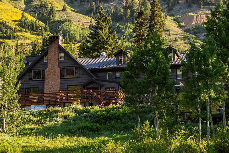 Sunny Days at Alta