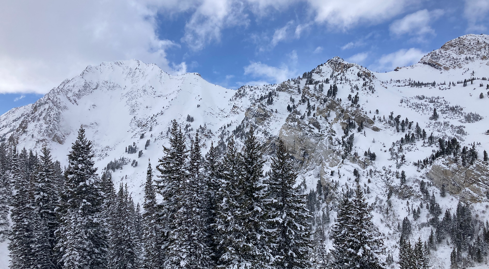 White Christmas and Happy Holidays