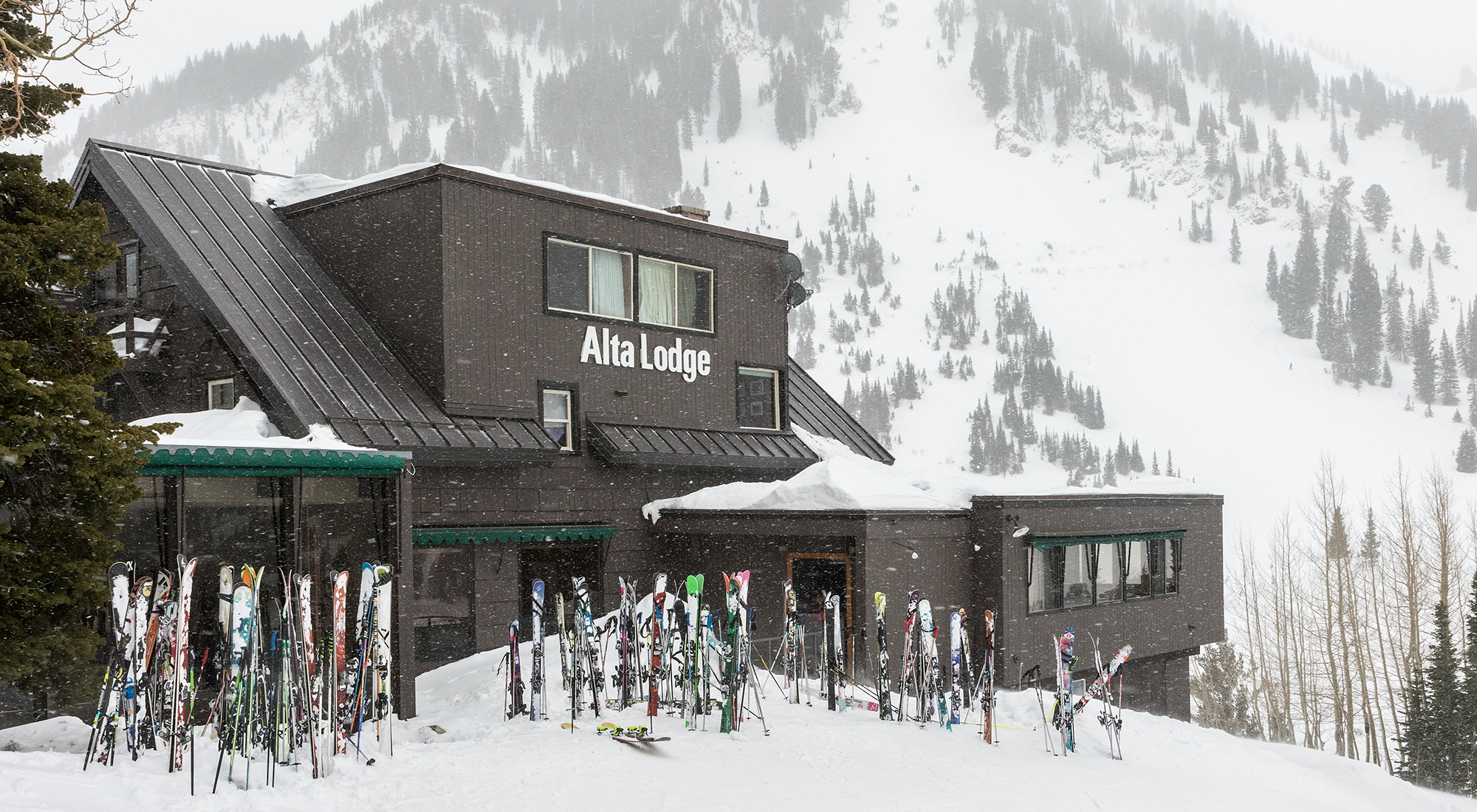 https://www.altalodge.com/wp-content/uploads/2024/05/PJ-_50A4762_large.2000x1100-1.png