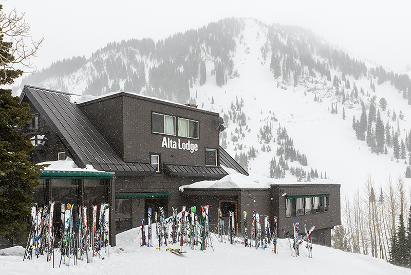 Alta Snow