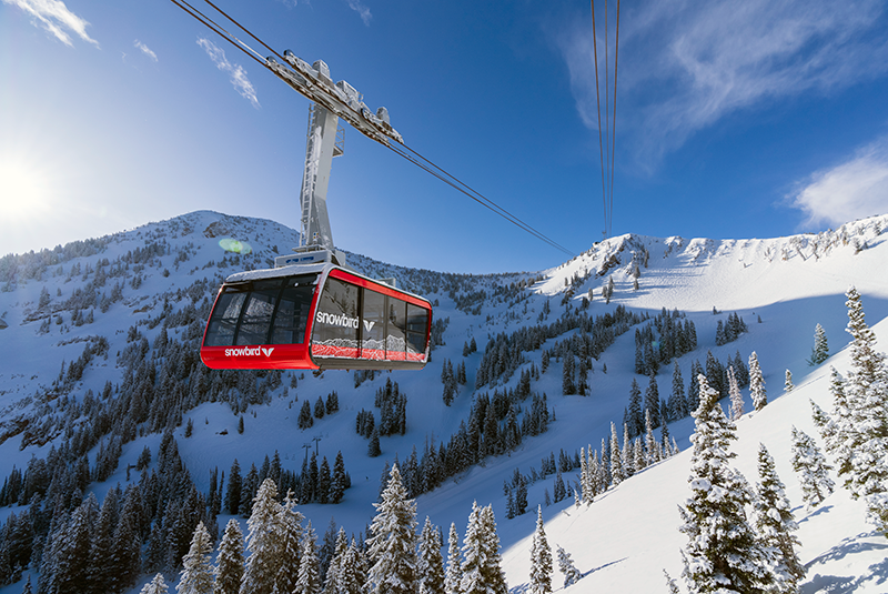 ALERT: Last Chance Powder