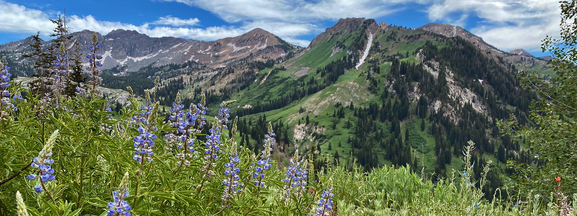 Recent Hikes in the Canyon