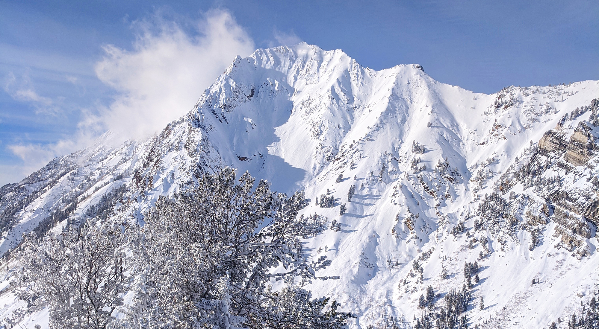 Dreams of Powder Come True